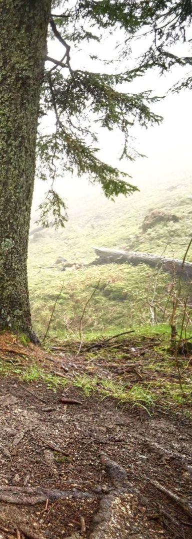 Premiumwege Albstadt